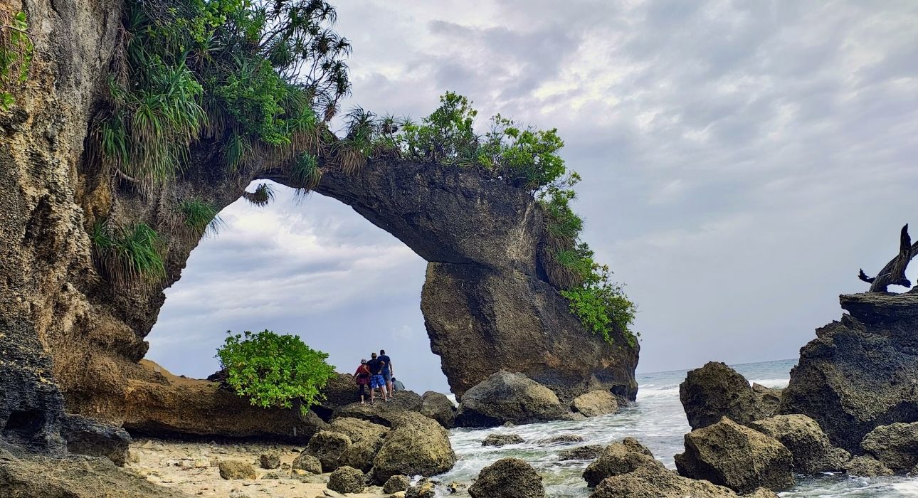 Andaman Island Delight
