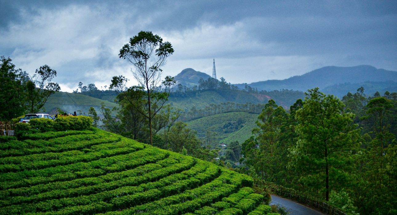 Serene Kerala Sojourn