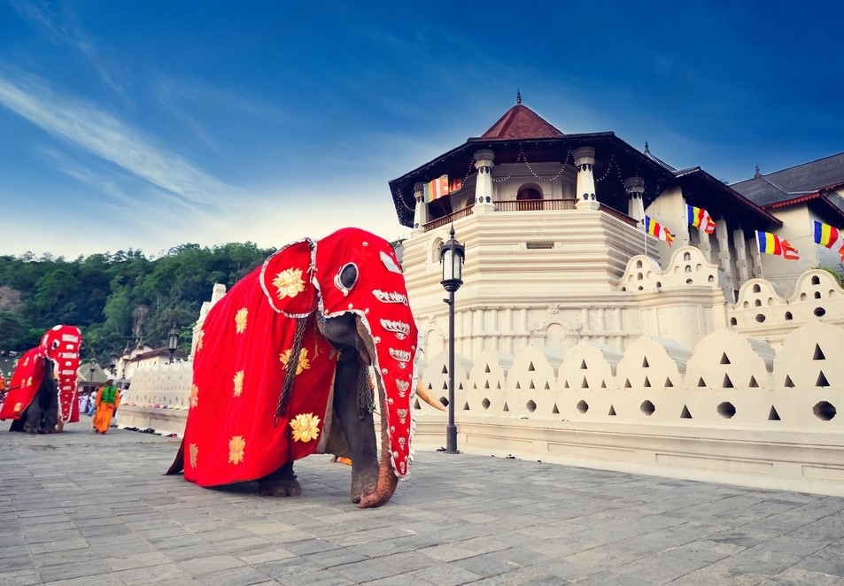 Wonder Tour of Srilanka