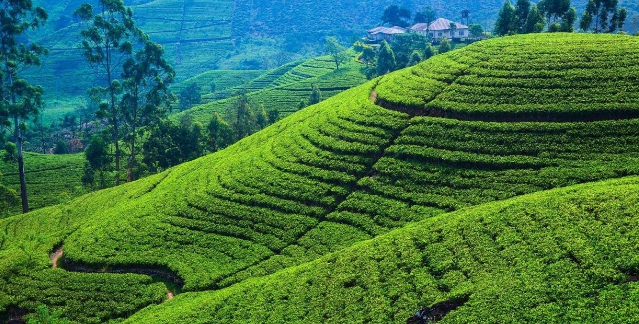 The Ultimate Srilanka Panorama