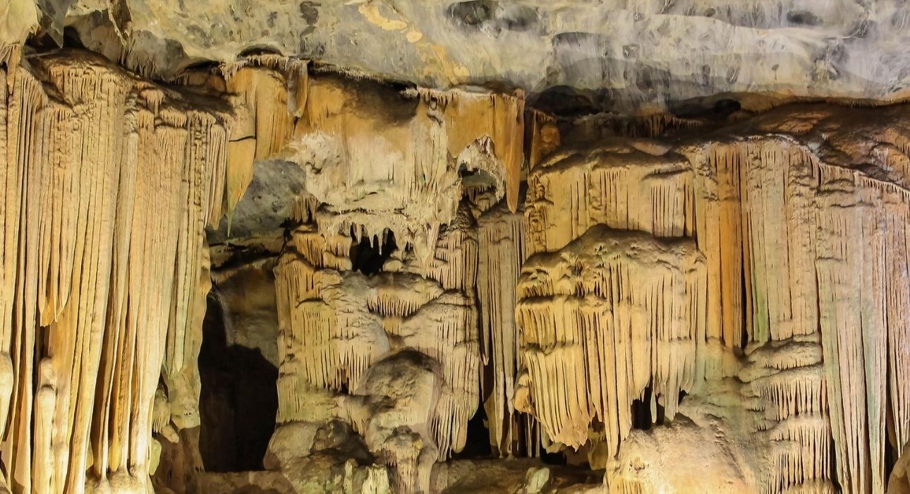 South Africa Signature Safari & Coast Tour