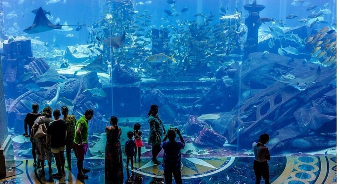 Ultimate UAE Journey