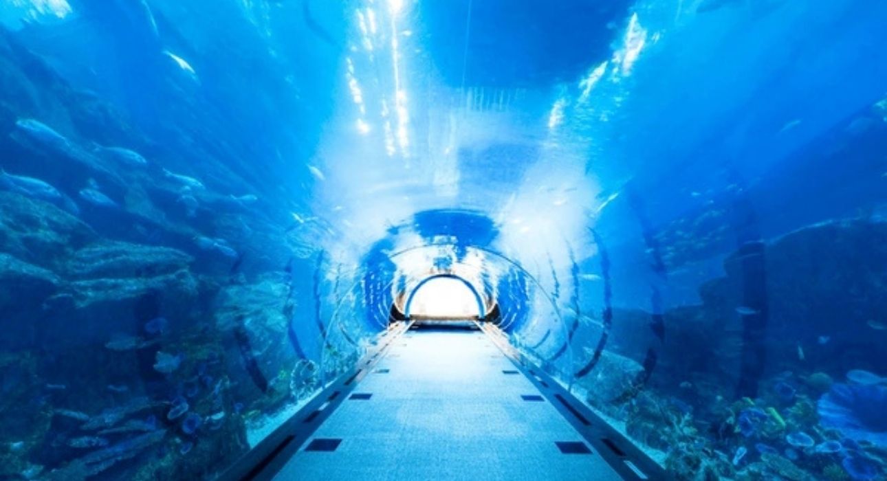 Ultimate UAE Journey