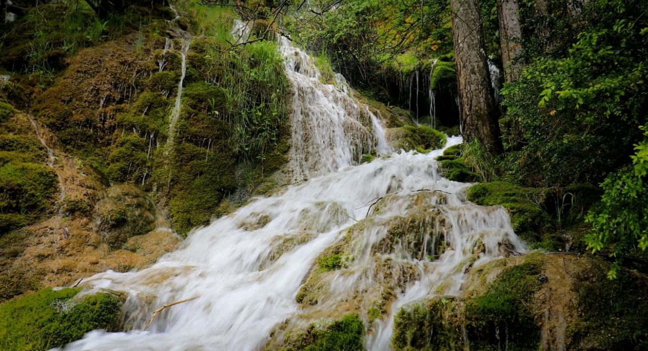 Bhutan Grand Explorer