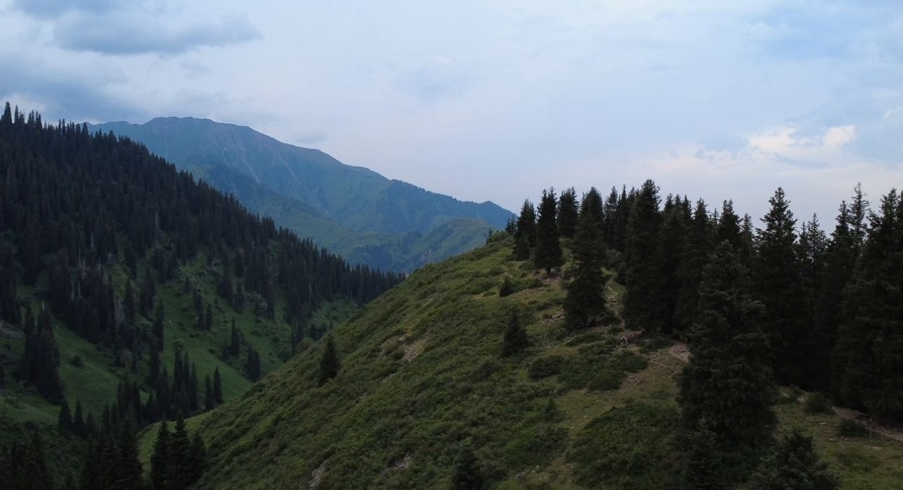 Eastern Himalaya Explorer - Darjeeling
