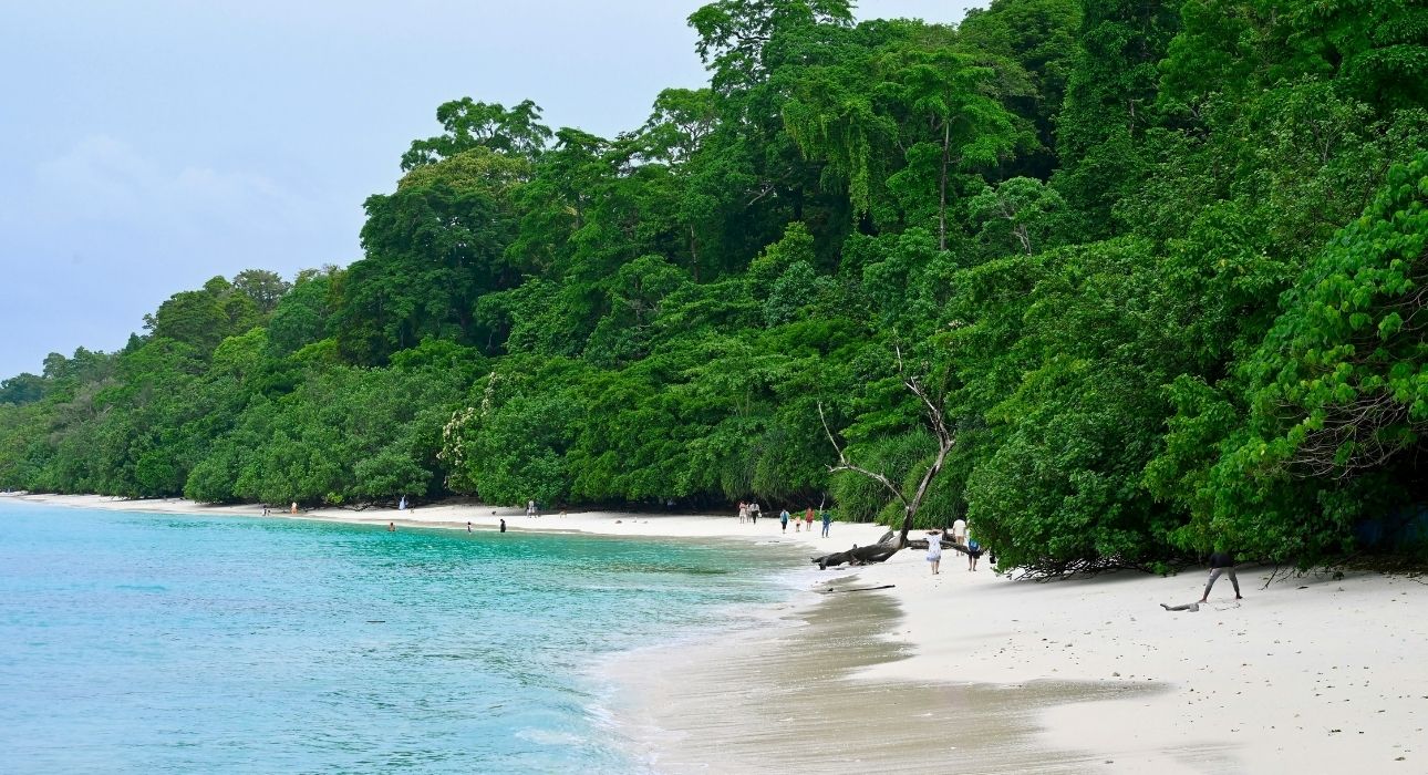 Andaman Island Delight