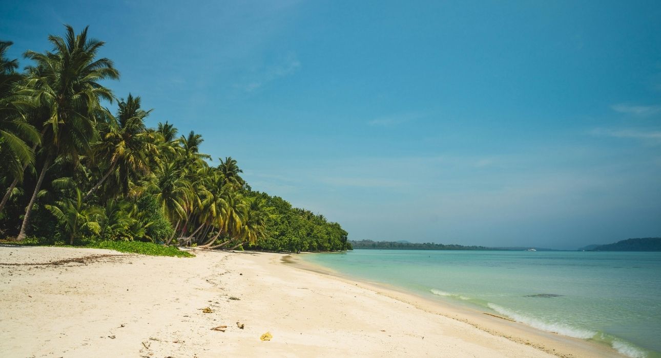 Andaman Island Delight