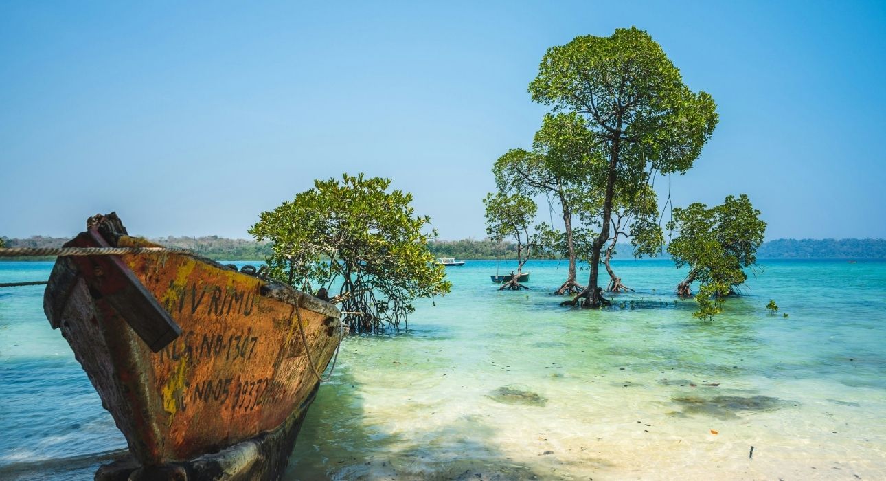 Andaman Island Delight