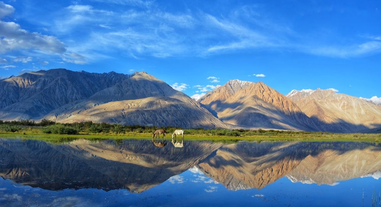 Ladakh Scenic Sojourn