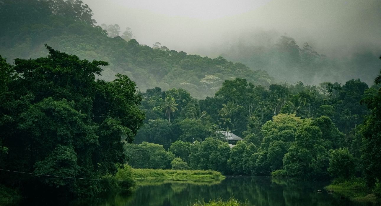 Kerala Paradise Journey