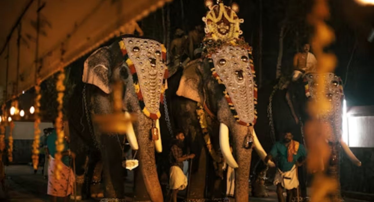 Enchanting Kerala Journey