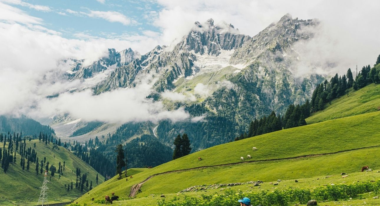 Mesmerizing Kashmir Journey