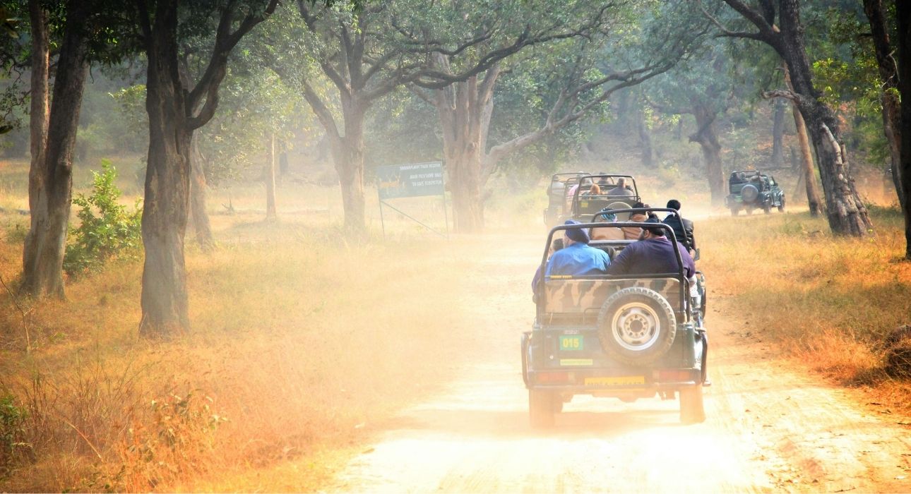Wildlife Trails of Central India with Mumbai