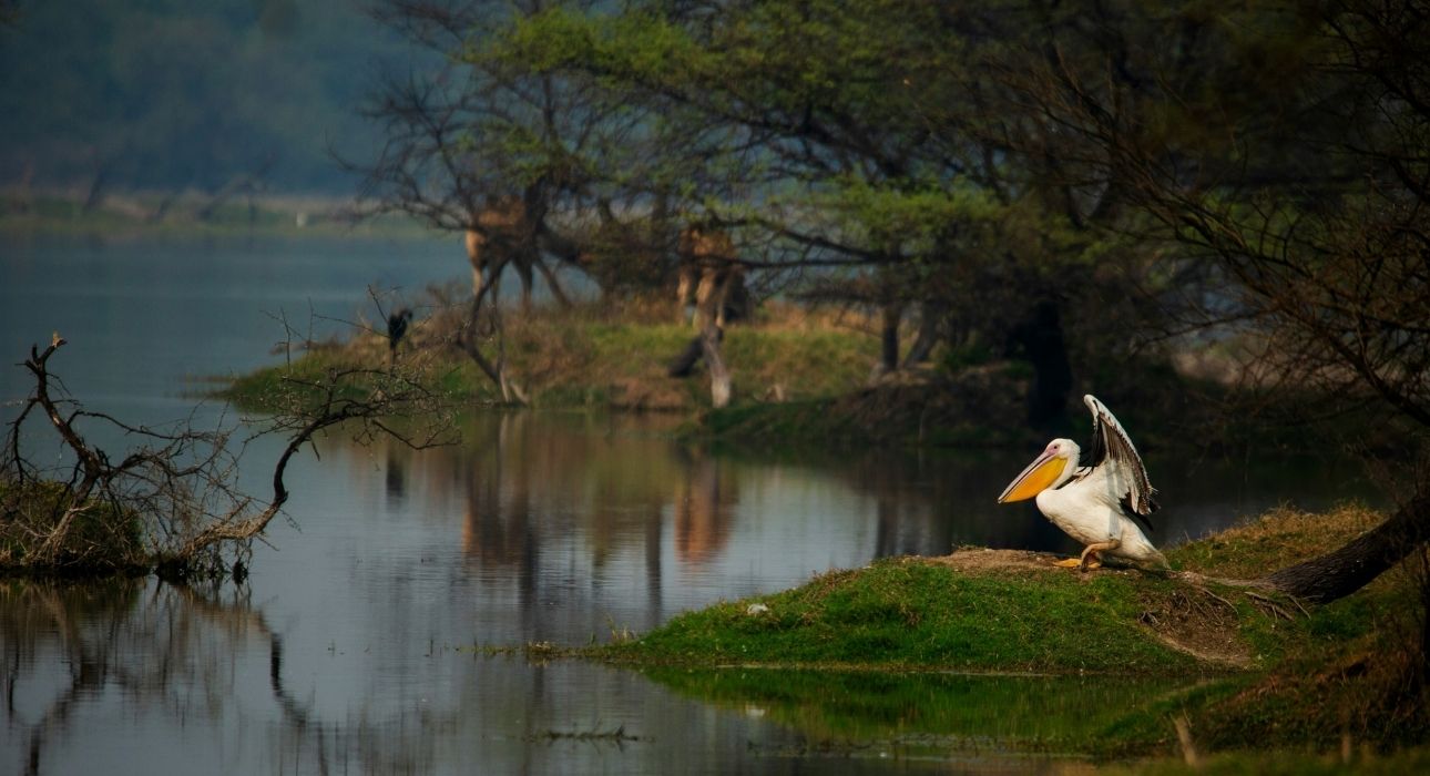 Golden Triangle Tour With Wildlife Trail