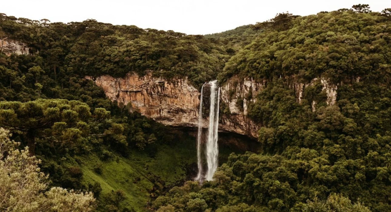 Golden Triangle Tour With Wildlife Trail